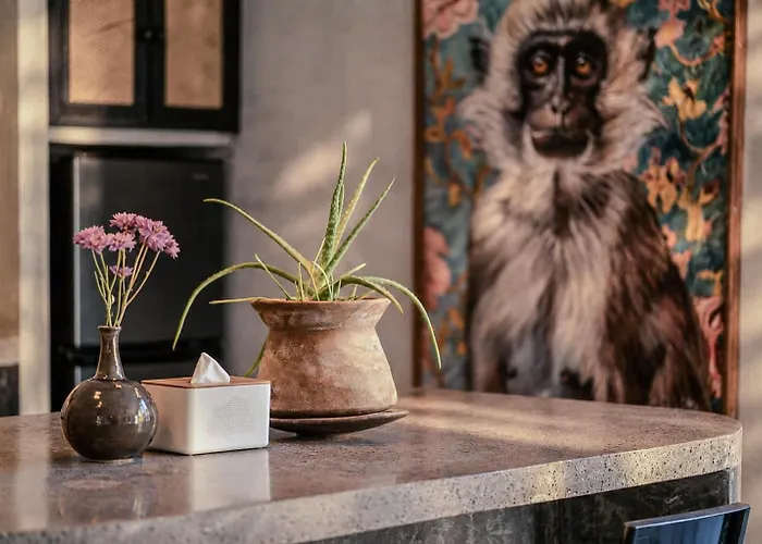 Stylish 1br Lima *